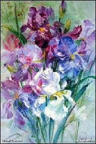 Anna Homchik - Kytica z irisov