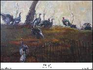 Suyorkul Doorov - Turkeys