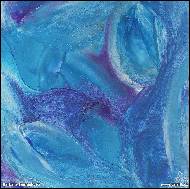 Barbara Tomankov� - orlice