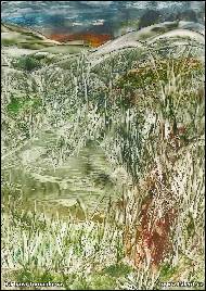 Barbara Tomankov� - U vody