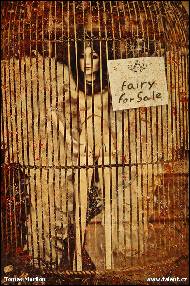 Tomas Morilon - Fairy for Sale