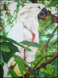 Josef Svoboda - Kakadu v t�e�n�ch