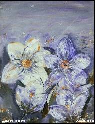 Ivana Pelouchová -  Spring flowers