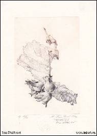 Rea Šimlíková,ak.soch. - Tři oříšky pro popelku