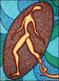 Dana Manta - Kořeny