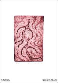 Dana Manta - Do jiných dimenzí