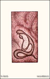 Dana Manta - Člověk - Něha