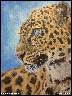 Leopard - akrylové barvy na plátně