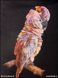 Karolína Borecká - Kakadu molucký - malba na tričko