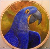 Karolína Borecká - Kubíček - ara hyacintový na prkénku