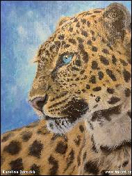 Karolína Borecká - Leopard - akrylové barvy na plátně