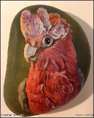Karolína Borecká - Kakadu růžový Pinky na kameni