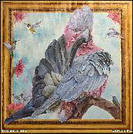 Karolína Borecká - Kakadu s kolibříky