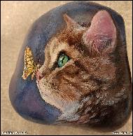 Karolína Borecká - Kočička na kameni