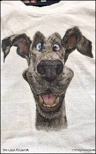 Karolína Borecká - Bonaparte na tričku