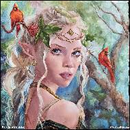 Karolína Borecká - Elfka a kardinálové - věnováno na charitu