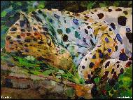 Radu Tesaro - Leopard 