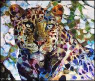 Radu Tesaro - gepard