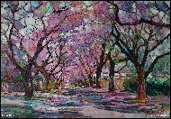 Radu Tesaro - Jacarandy