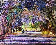 Radu Tesaro - Bulawayo ulice