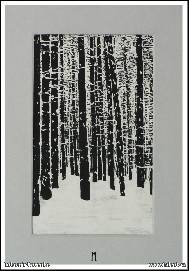 Lubomir Korenko - In the forest