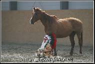 Jitka Bednářová-Smíšková