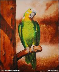 Jitka Bednářová-Smíšková - 