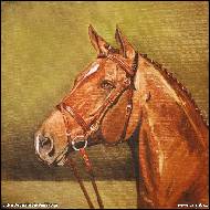 Jitka Bednářová-Smíšková - Mongomeri