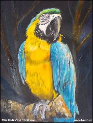 Jitka Bednářová-Smíšková - ve světle reflektorů