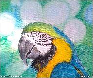 Jitka Bednářová-Smíšková - slunečný den