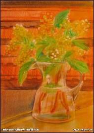 Jitka Bednářová-Smíšková - Luční květy