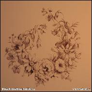 Jitka Bednářová-Smíšková - Věneček