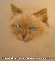 Jitka Bednářová-Smíšková - Kočka siamská