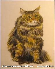 Jitka Bednářová-Smíšková - Kočka divoká