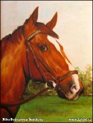 Jitka Bednářová-Smíšková - Po parkuru