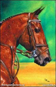 Jitka Bednářová-Smíšková - Polo jdeme na to