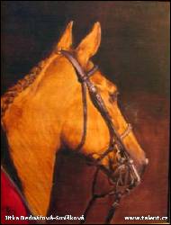 Jitka Bednářová-Smíšková - Polo ponny