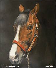 Jitka Bednářová-Smíšková - 