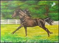 Jitka Bednářová-Smíšková - Rychleji