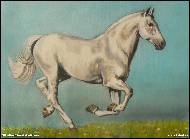 Jitka Bednářová-Smíšková - Krása pohybu