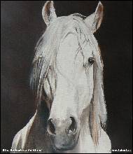 Jitka Bednářová-Smíšková - Jurášek