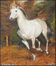 Jitka Bednářová-Smíšková - cválající