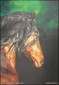 Jitka Bednářová-Smíšková - Frízský hřebec