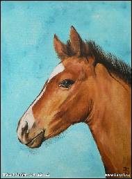 Jitka Bednářová-Smíšková - koňské děátko