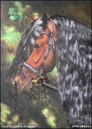 Jitka Bednářová-Smíšková - chvála kadeřníkovi