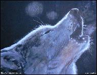 Jitka Bednářová-Smíšková - V měšíčním světle