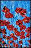 Poppies on blue