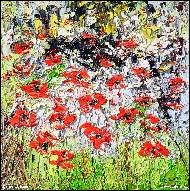 Daniel Urbaník - A meadow full of poppies