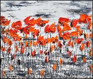 Daniel Urbaník - Flora poppies 2