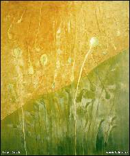 Josef Dolák - Předjaří